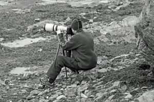 Martin Bernier photographe caméra Canon trépied Manfroto Montmagny Québec canada Oie Blanche